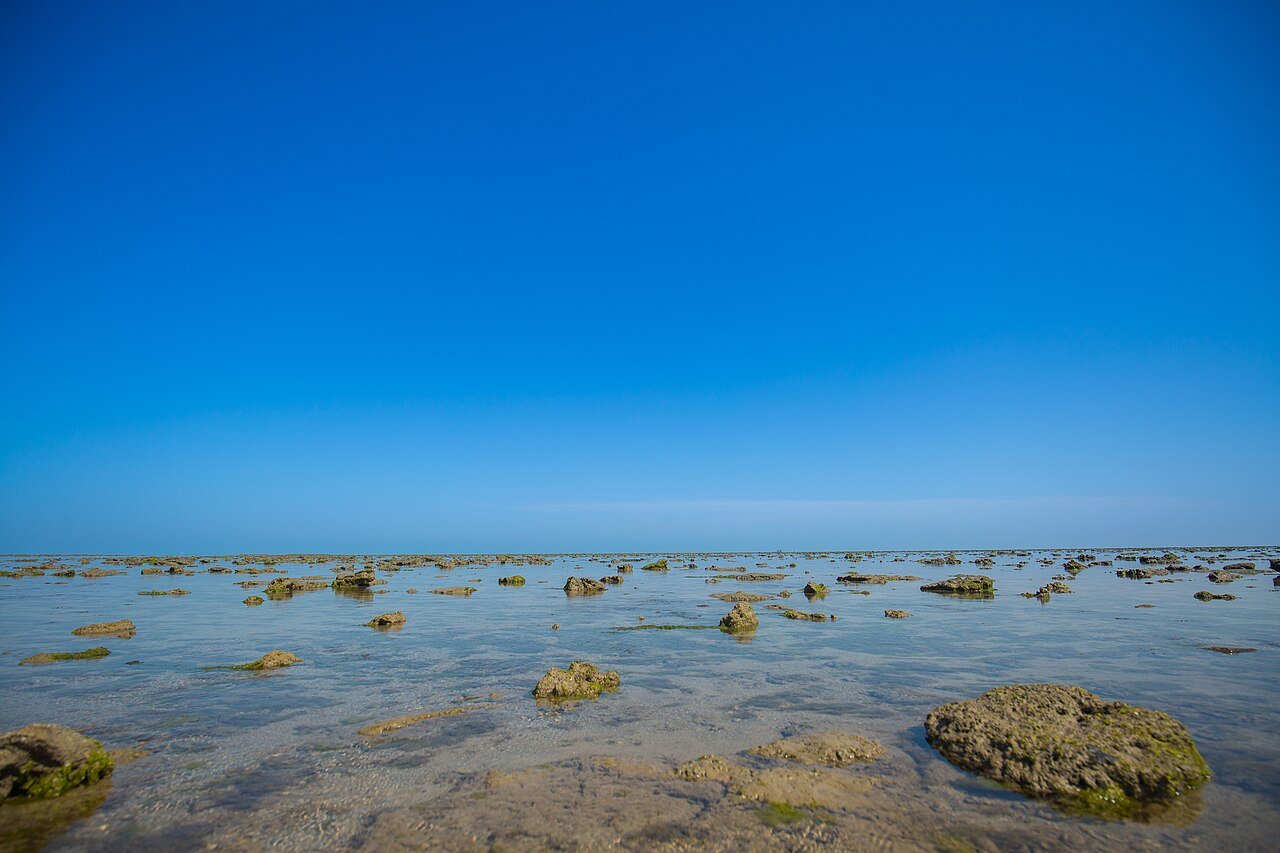 Marine National Park, Jamnagar